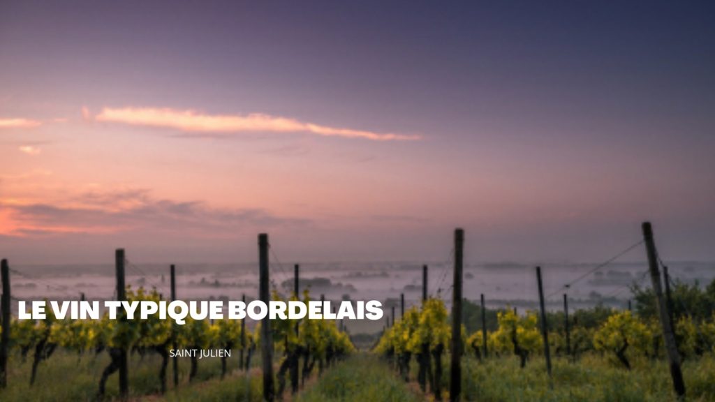 vignoble bordelais